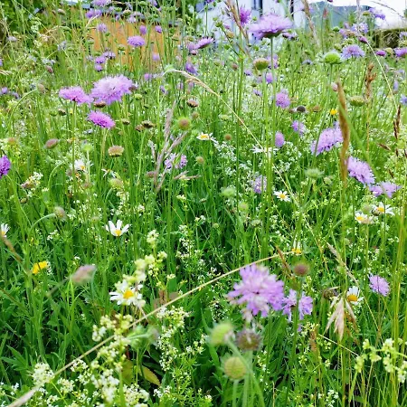 Gemuetliches Blockhaus Am Wald Mit Grossem Garten *
