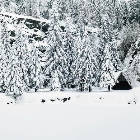 Holiday home Gemuetliches Blockhaus Am Wald Mit Grossem Garten