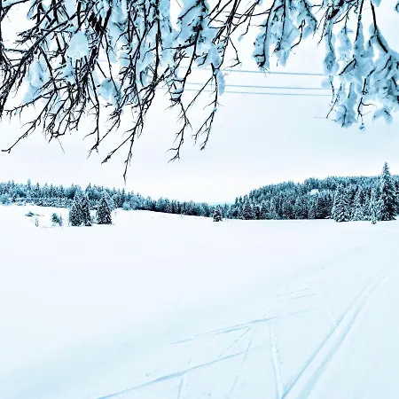 Gemuetliches Blockhaus Am Wald Mit Grossem Garten Waltershausen