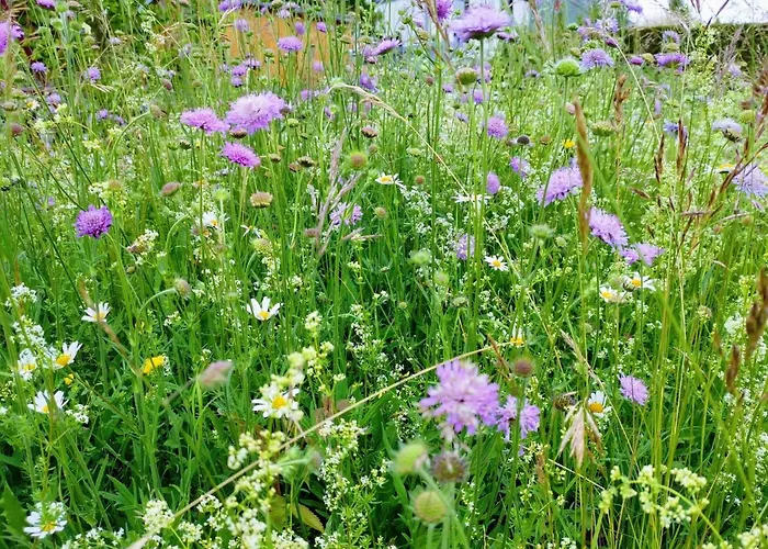 Gemuetliches Blockhaus Am Wald Mit Grossem Garten *