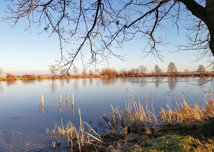 Gemuetliches Blockhaus Am Wald Mit Grossem Garten Waltershausen