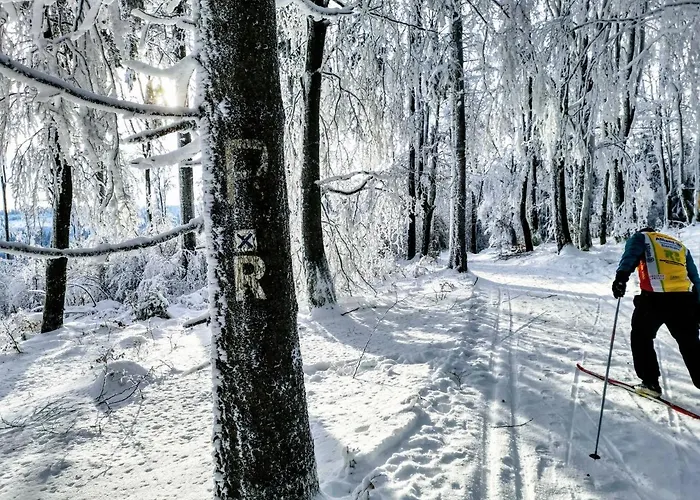 Gemuetliches Blockhaus Am Wald Mit Grossem Garten *