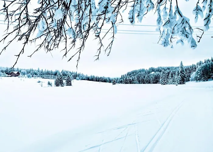 Gemuetliches Blockhaus Am Wald Mit Grossem Garten Waltershausen